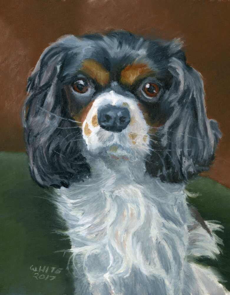Dog portrait painting in oil pastel by Portland Maine pet portrait artist, Dominic White