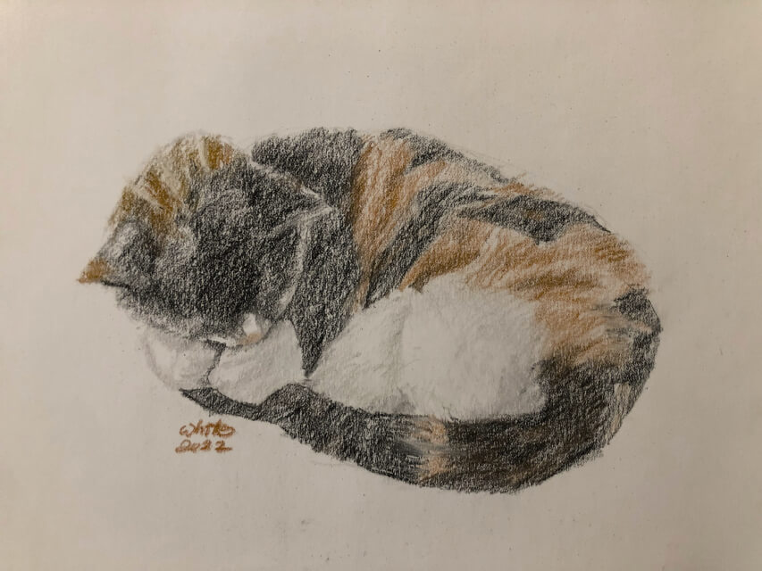 Pastel sketch of a cat